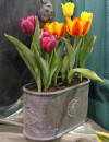 Lead Planter - Flower Tub & Herb Planter